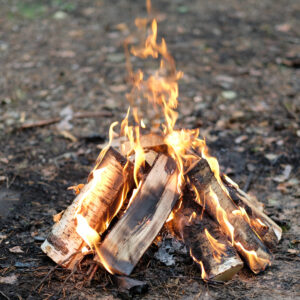 Full Cord Seasoned Bonfire Wood for Outdoor Burning