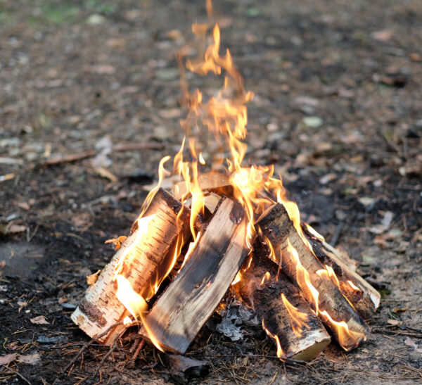 Full Cord Seasoned Bonfire Wood for Outdoor Burning